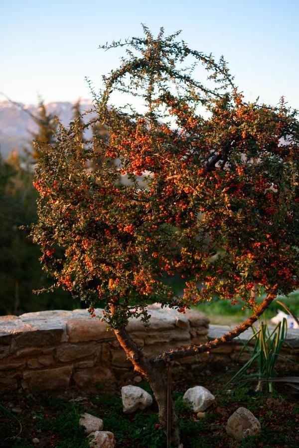 Aphrodite Mountain View Perion Bagian luar foto